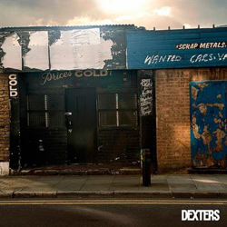 Shimmer Gold - Vinilo en oferta