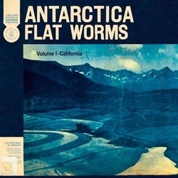 Antarctica - Vinilo precio