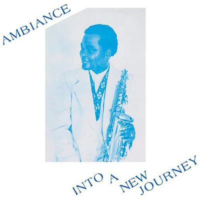 Into a New Journey - 2 vinilos