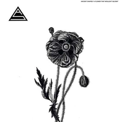 A Flower That Wouldnt Bloom - Vinilo en oferta