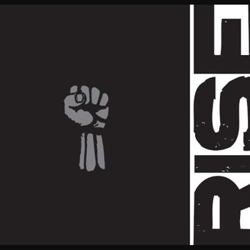 Box Set Rise Against  - 8 Vinilos características