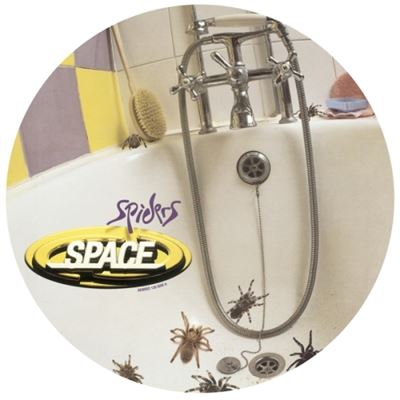 Spiders - Vinilo