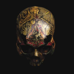 Temple of wounds - Vinilo en oferta