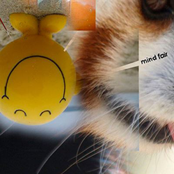 Mind Fair - Vinilo características