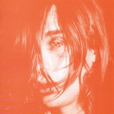 Microcastle / Weird Era Continued - Vinilo