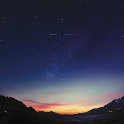 Singularity - 2 vinilos