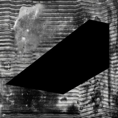 304 - Vinilo