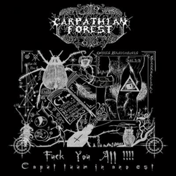 Fuck You All - Vinilo en oferta