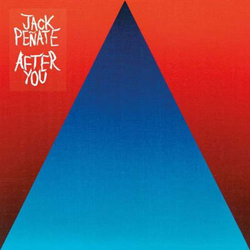 After You - Vinilo características