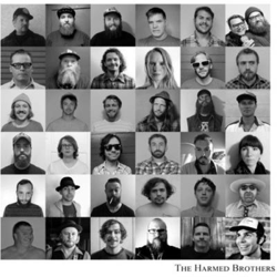 The Harmed Brothers precio