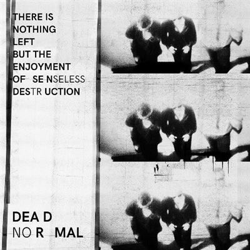 There Is Nothing Left But The Enjoyment Of Senseless Destruction - Vinilo precio