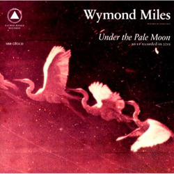 Under the Pale Moon precio