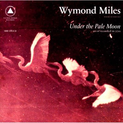 Under the Pale Moon