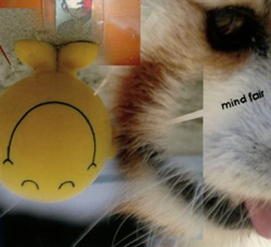 Mind Fair características