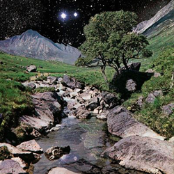 The Beta Band - Ed deluxe - 2 vinilos + CD en oferta