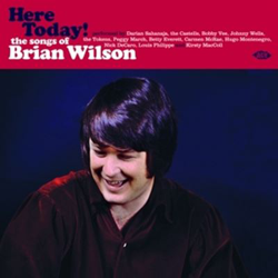 Here Today! The Songs Of Brian Wilson - Vinilo en oferta