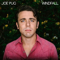 Windfall - Vinilo características