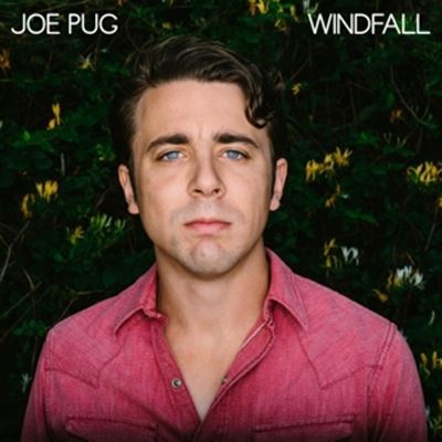 Windfall - Vinilo