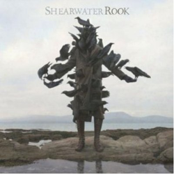 Rook - Vinilo precio