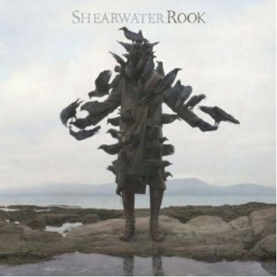 Rook - Vinilo