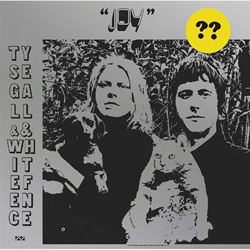 Joy - Vinilo características