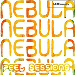 Peel Sessions - Vinilo en oferta
