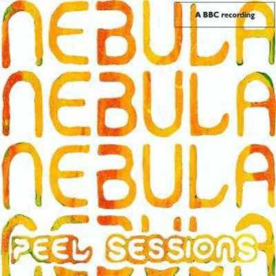 Peel Sessions - Vinilo