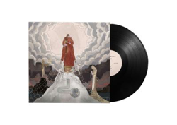 Womb - Vinilo características