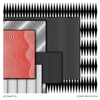 Echo Principle - Vinilo