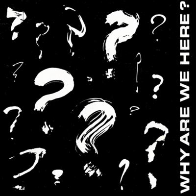Why Are We Here 7 - Vinilo