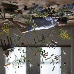 Softfall - Vinilo en oferta