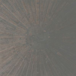 Selva Oscura - Vinilo en oferta