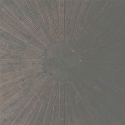 Selva Oscura - Vinilo