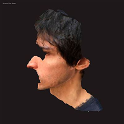 AA - Vinilo características