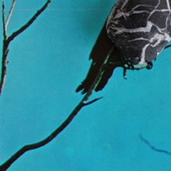 Stateless - Vinilo características