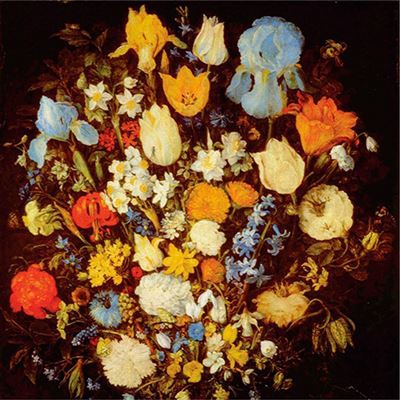 Navigated Like the Swans - Vinilo