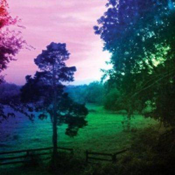 Echo Ono - Vinilo en oferta