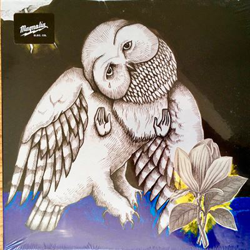 The Magnolia Electric Co. - 2 vinilos - Ed deluxe precio