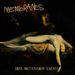 Dark Matterdark Energy - 2 Vinilos características