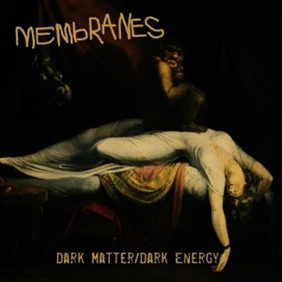 Dark Matterdark Energy - 2 Vinilos
