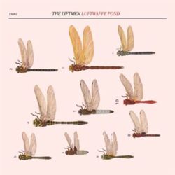 Luftwaffe Pond - Vinilo características