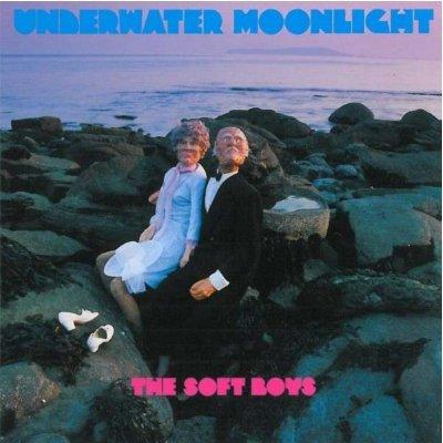 Underwater Moonlight (Edición vinilo)