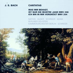 Cantata BWV 204-208 en oferta