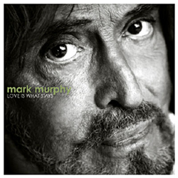 Love Is What Stays precio