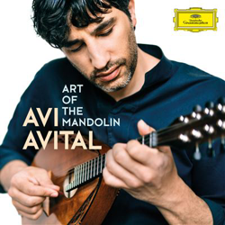 Art of the Mandolin características