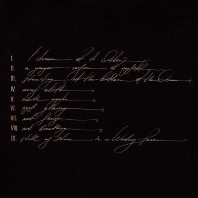 Dreams Are Not Enough - 2 Vinilos