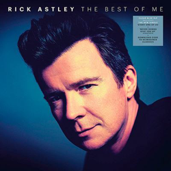 The Best Of Me - 2 vinilos características