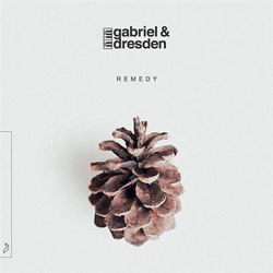 Remedy - Vinilo precio