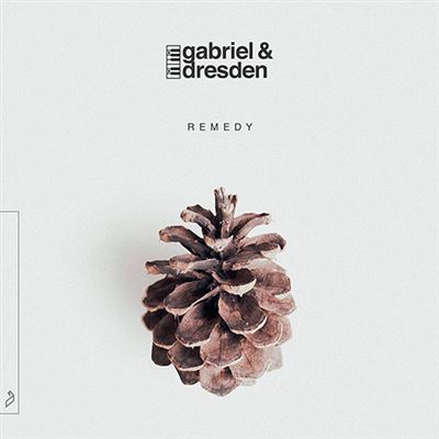 Remedy - Vinilo