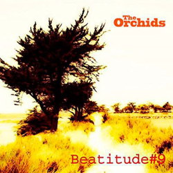 Beatitude #9 precio